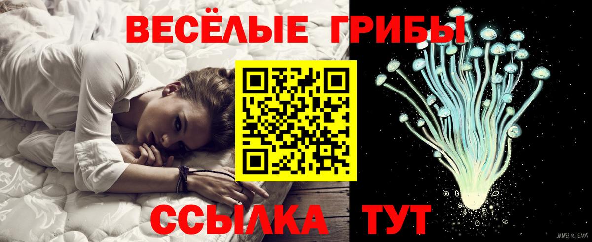 Галлюциногенные грибы Psilocybine cubensis Партизанск
