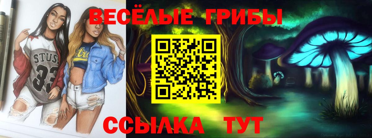 Партизанск  Псилоцибиновые грибы MAGIC MUSHROOMS  наркота  Вход с VPN  Псилоцибиновые грибы мицелий 